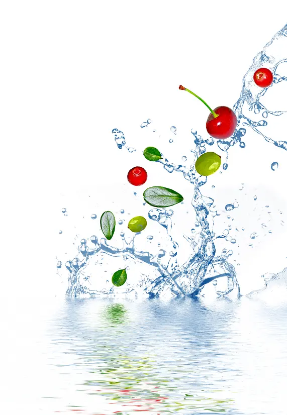 Feel Energized Throughout Your Trip